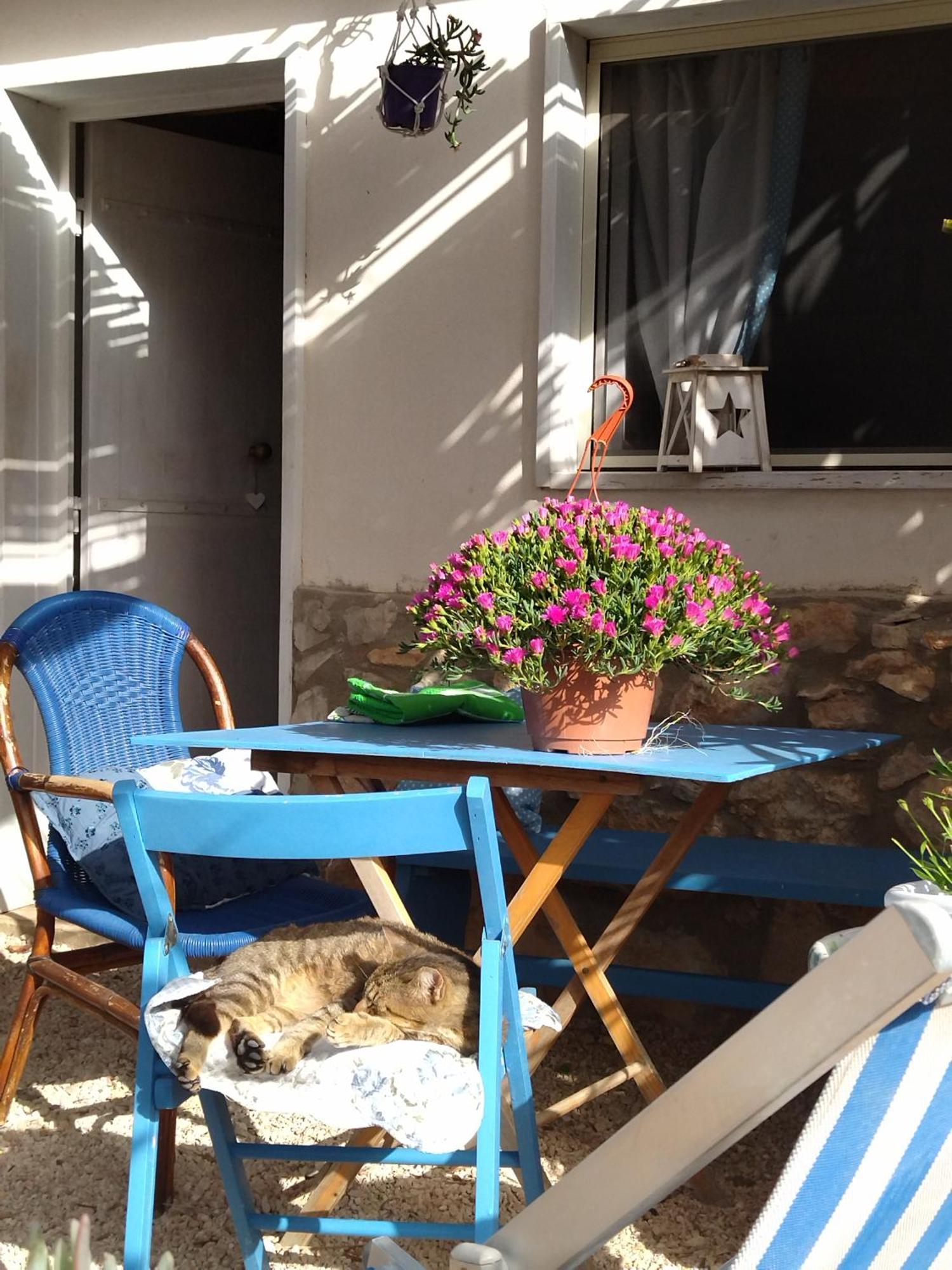 Ferienwohnung Cala Creta LMP Zimmer foto